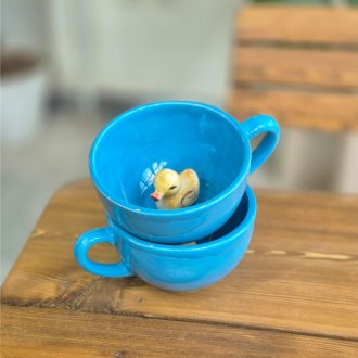 لته خوری طرح اردک