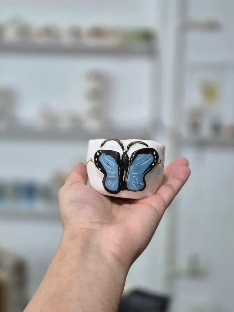 IMG_20251119_173310_285